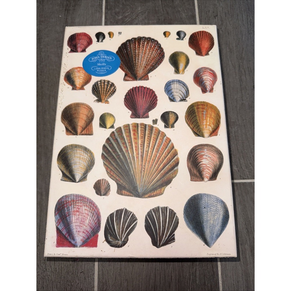 John Derian Artisan SHELL Puzzle 1000 Pieces 18 7/8" x 26 3/8" Poster Included